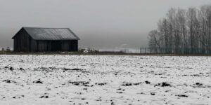 Det finska gränsstängslet gentemot Ryssland i Parikkala.